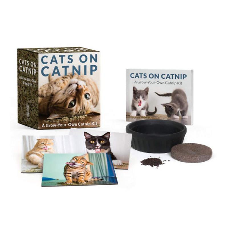 Cats on Cat Nip: Grow Your Own Cat Nip Mini Kit