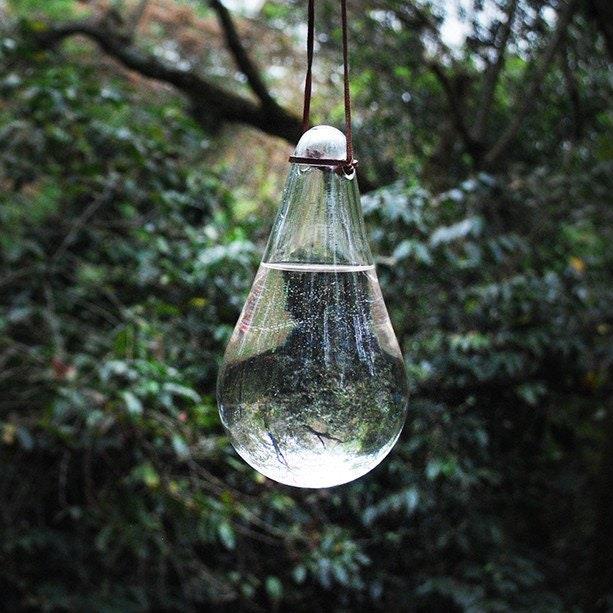 Glass Bulb Fly Deterrent