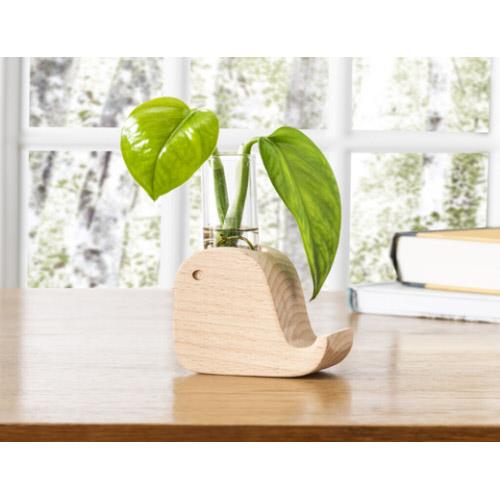 Toronto, Danforth. Shop and buy garden supplies, pots, and vases. Slip a new cutting from your favourite houseplant into your Whale Propagation Vase and if all goes well, you'll see roots developing within a few weeks! Made of beech wood and glass.