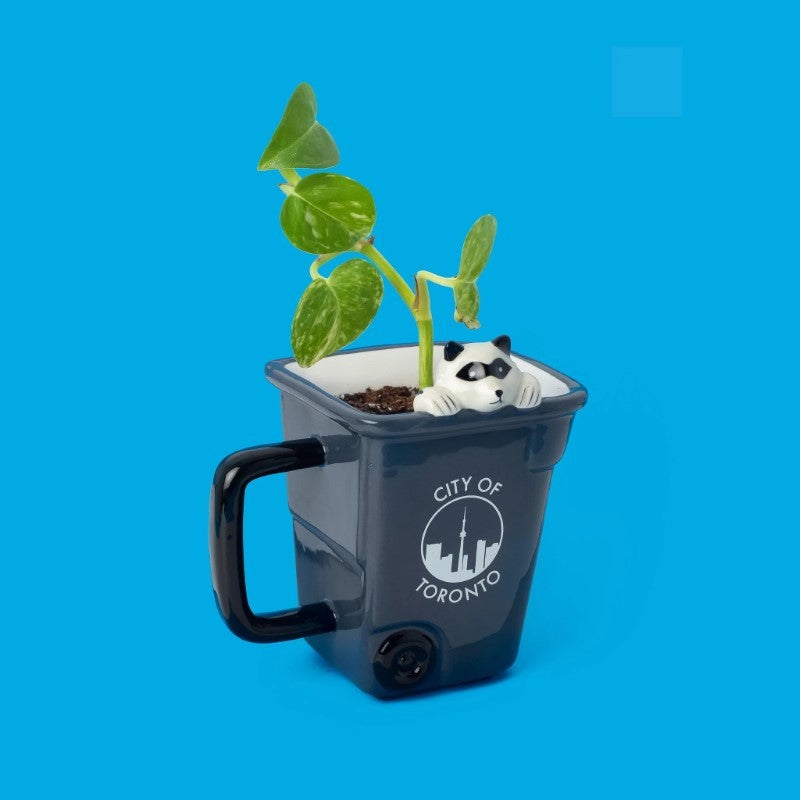 Main and Local Raccoon Mug