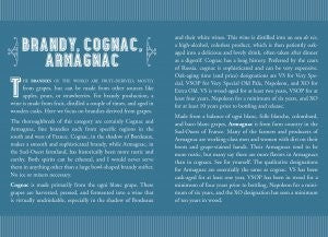 Pocket-Sized Spirits Review Journal