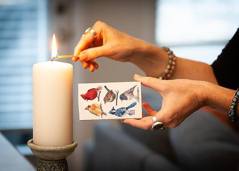 North American Birds Matches, 45 Sticks