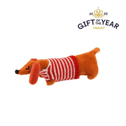 Mini Sausage Dog In A Little Box