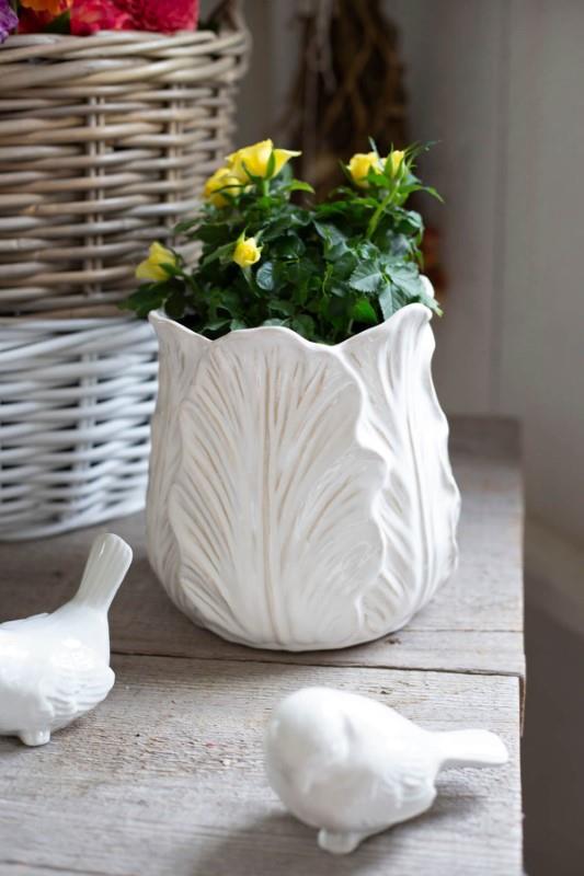 Cream Cabbage Leaf Pot