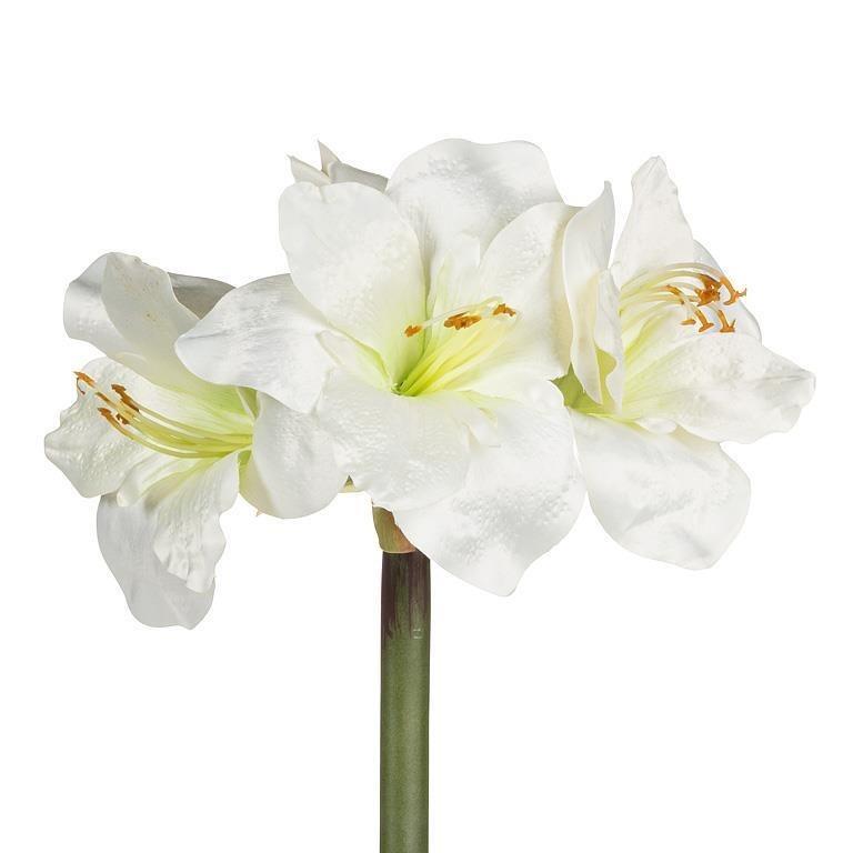 Amaryllis Stem with 4 Blooms, 33&quot;L