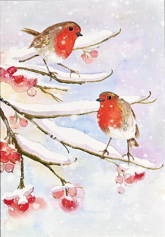 English Robins in Snow Holiday Cards, Box of 20