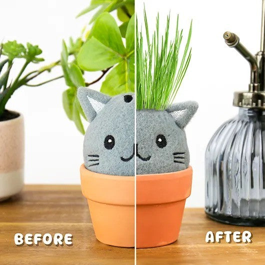 Cat Grow Kit – Grow Pals
