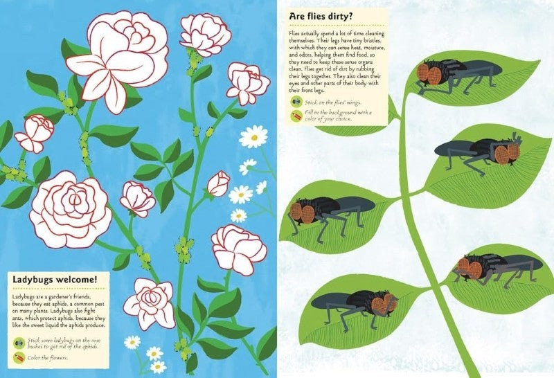 Garden Insects And Bugs: My Nature Sticker Activity Book