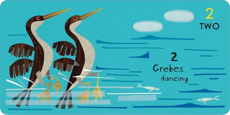 Canadian Animals 123 Board Book