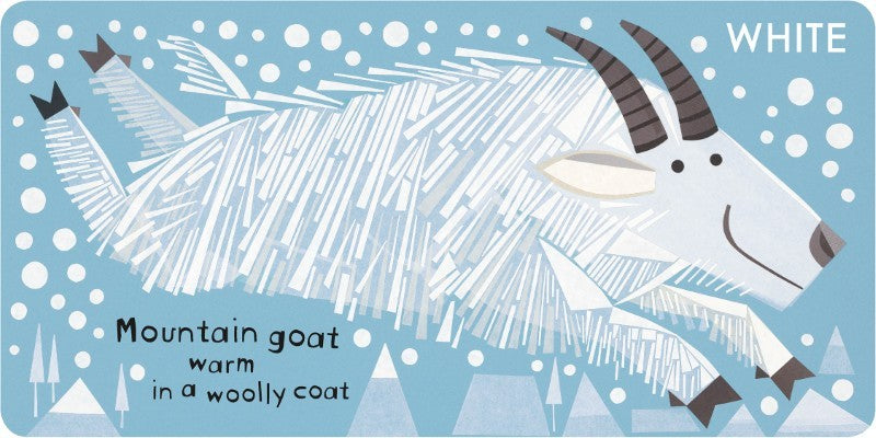 Canadian Animals in Colour Board Book