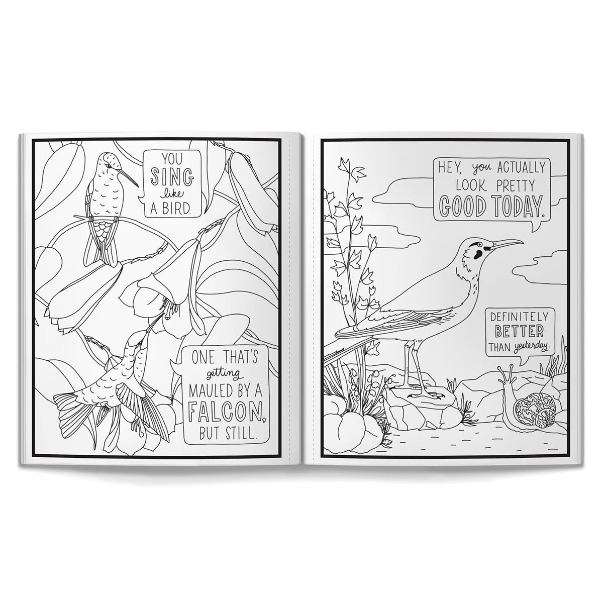 Salty Birds Coloring Book