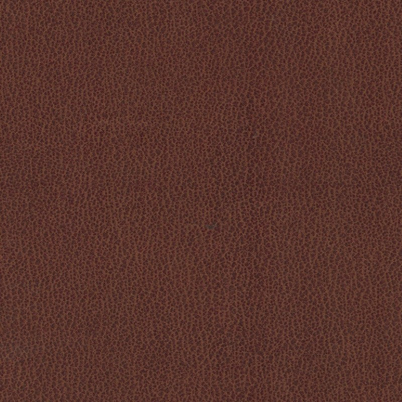 Fraser Dining Chair - Tan Brown
