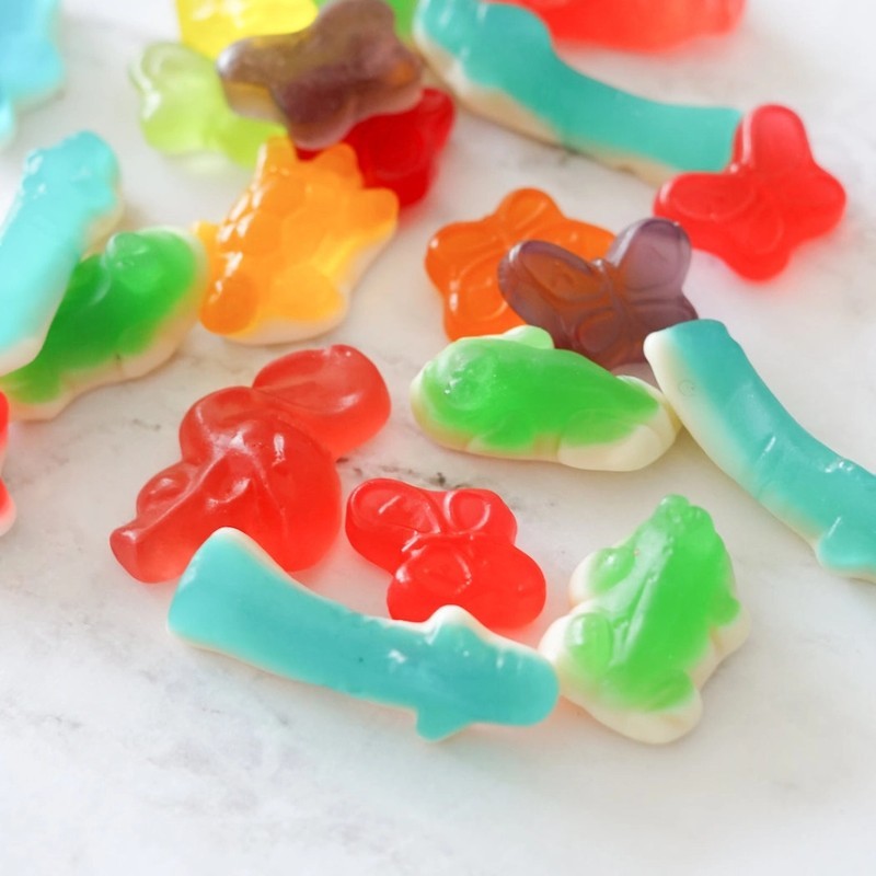 Colorful Animals - Gummy Candies