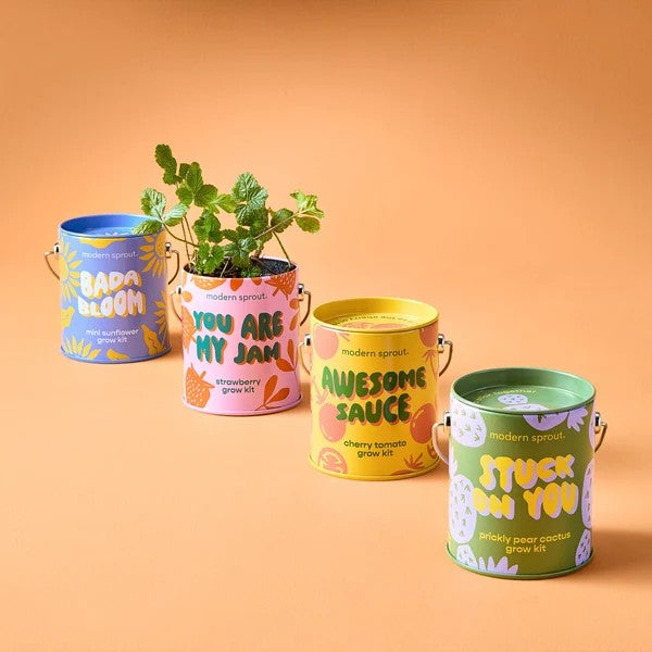 Mini Sunflower Grow Kit