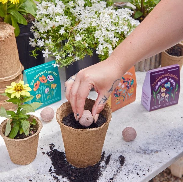 The Poet's Garden - Seed Balls