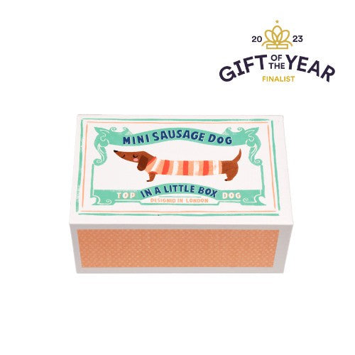 Mini Sausage Dog In A Little Box