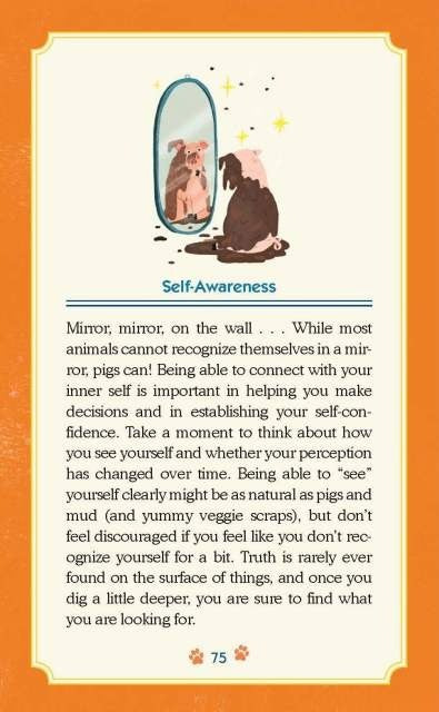 Trash Animals Oracle Inspiration and Guidance from Chaotic Creatures