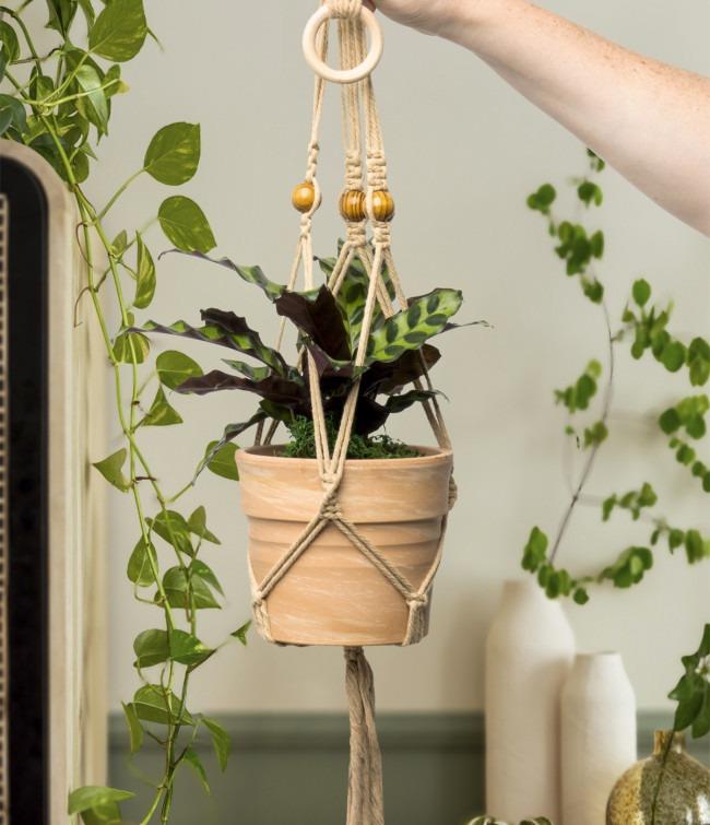 Seed &amp; Sprout® Let’s Hang Macrame Plant Hanger