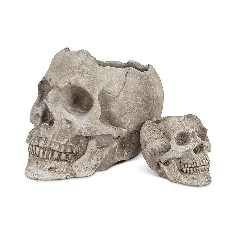 Cement Skull Planter