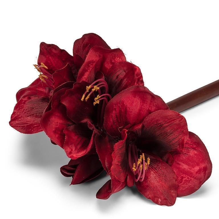 Amaryllis Stem with 4 Blooms, 33&quot;L