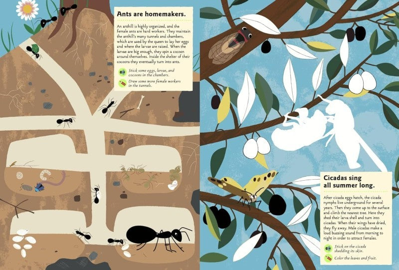 Garden Insects And Bugs: My Nature Sticker Activity Book
