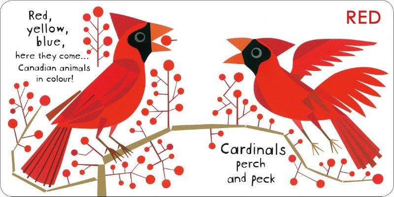 Canadian Animals in Colour Board Book