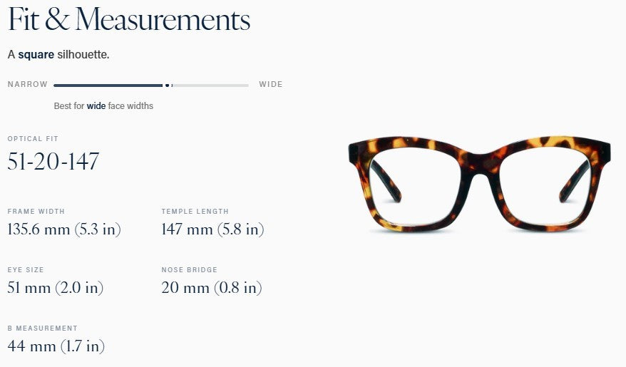 To the Maximalist Tortoise — Blue Light Reading Glasses