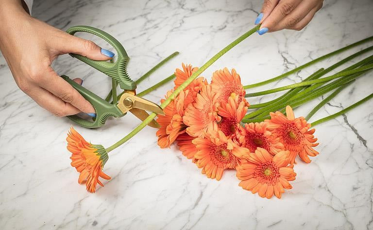 Short Blade Green Floral Snips