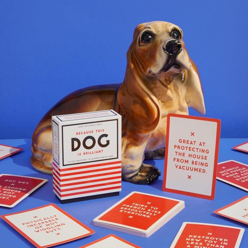 Because This Dog Is Embarrassing: Pet Shame/Praise Deck