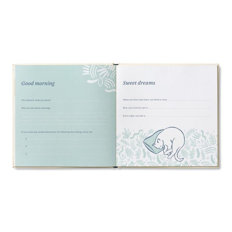 New Cat Memory Keeper: Our First Year Together