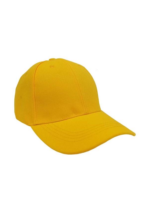 Standard Baseball Cap