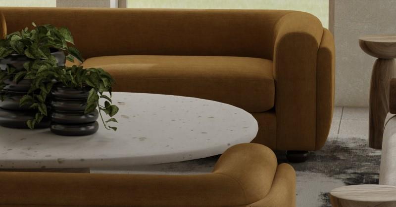 Van Gogh Tulip Collection