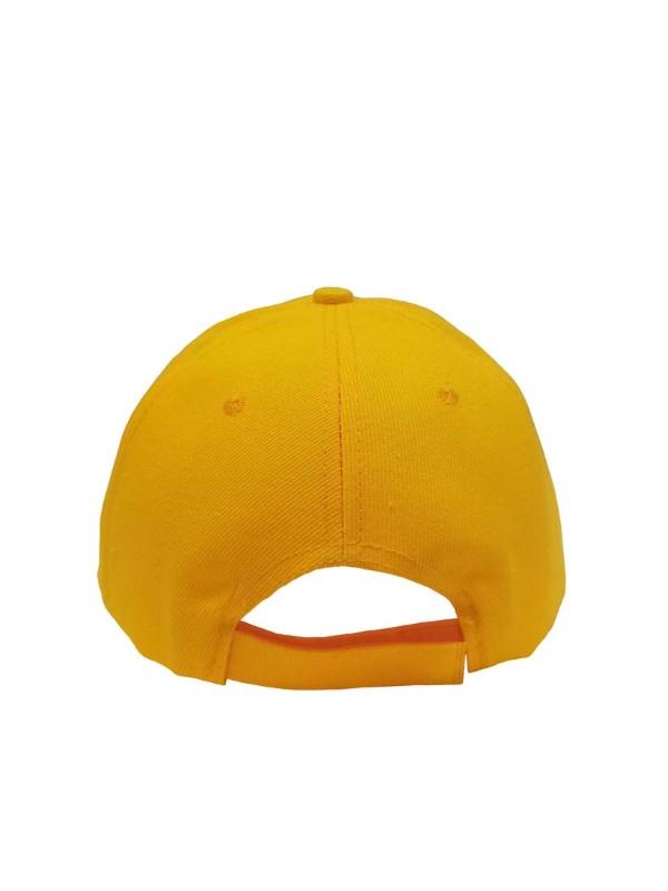 Standard Baseball Cap