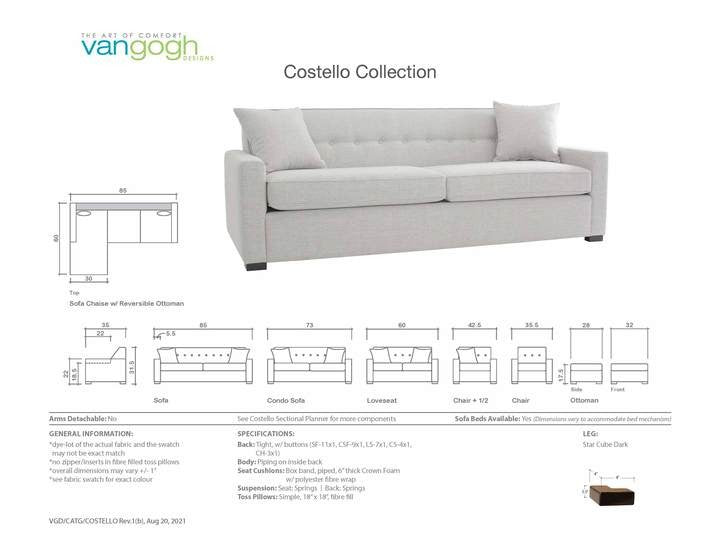 Van Gogh Costello Collection