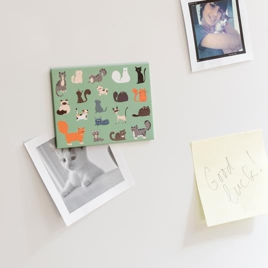 Rex London Nine Lives Fridge Magnet