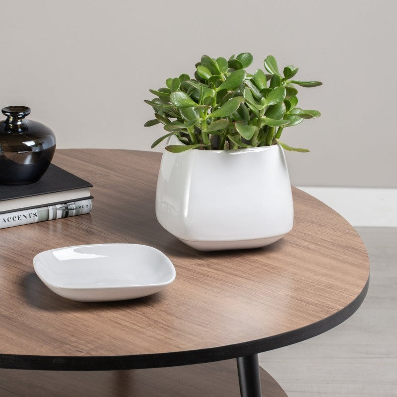 Mod Cube Planter with Saucer Base