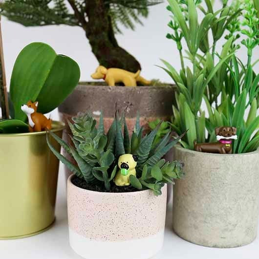 Mini Plant Pot Adorable Dogs, Set of 4