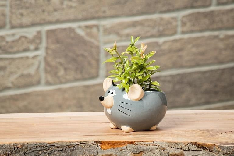 Mini Grey Mouse Planter, 2.25&quot;