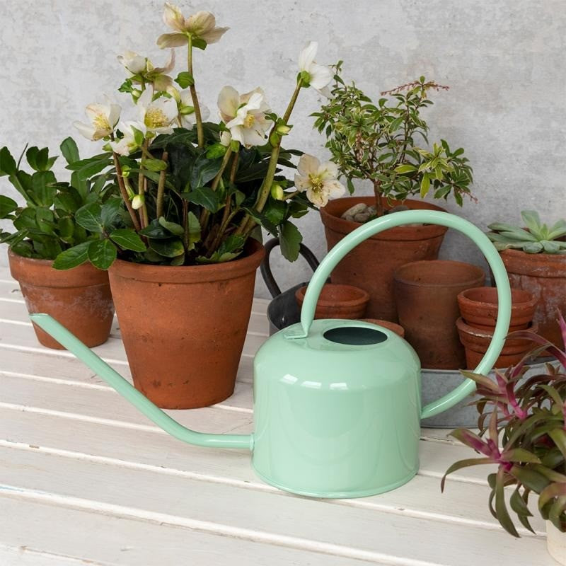 Rex London 1L Metal Watering Can