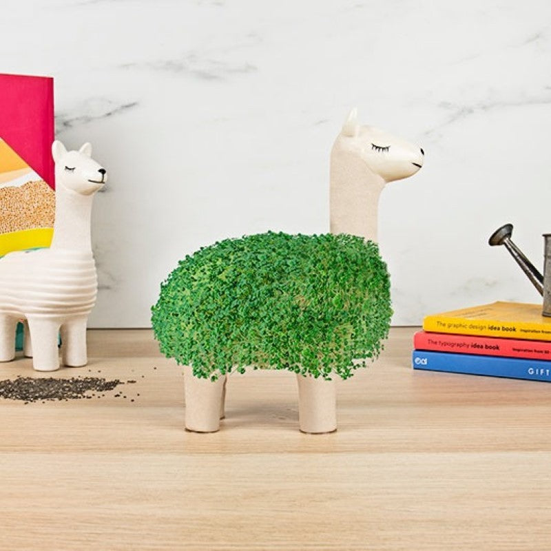 Llama Chia Planter &amp; Seeds