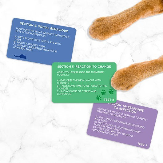 Cat Personality Test
