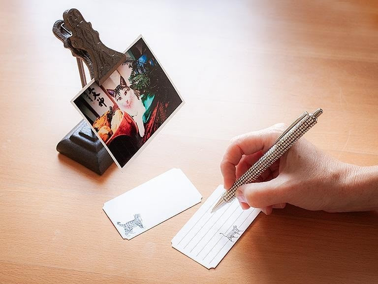 Cat Mini Note Cards. 50 Pieces