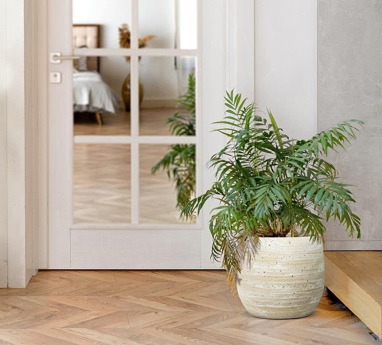 Extra Large Ridge &amp; Hole Planter