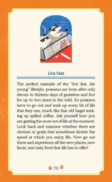 Trash Animals Oracle Inspiration and Guidance from Chaotic Creatures