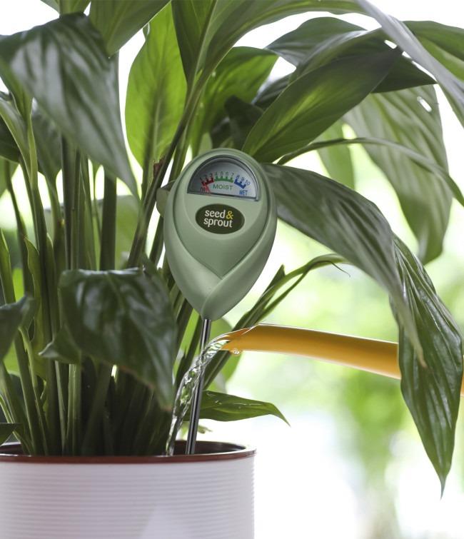 Seed &amp; Sprout® Happy Hydration Potted Plant Moisture Meter
