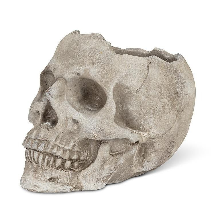 Cement Skull Planter