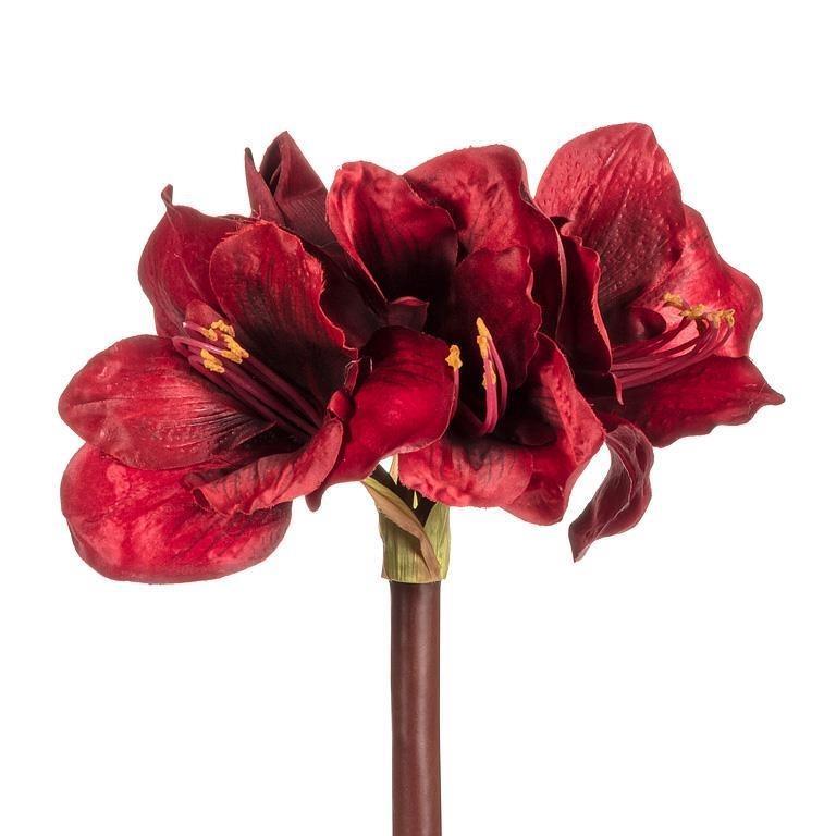 Amaryllis Stem with 4 Blooms, 33&quot;L