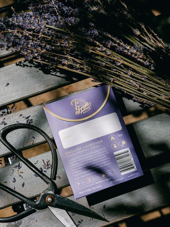 Lavender (Serenity) - Floriography Seed Packet