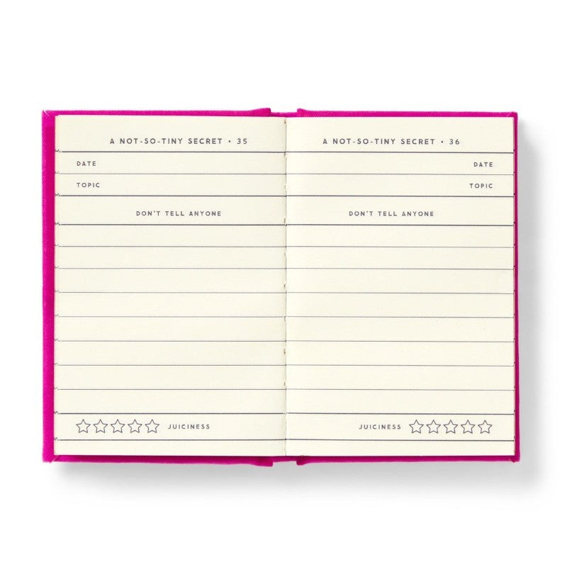 Tiny Diary for Not So Tiny Secrets