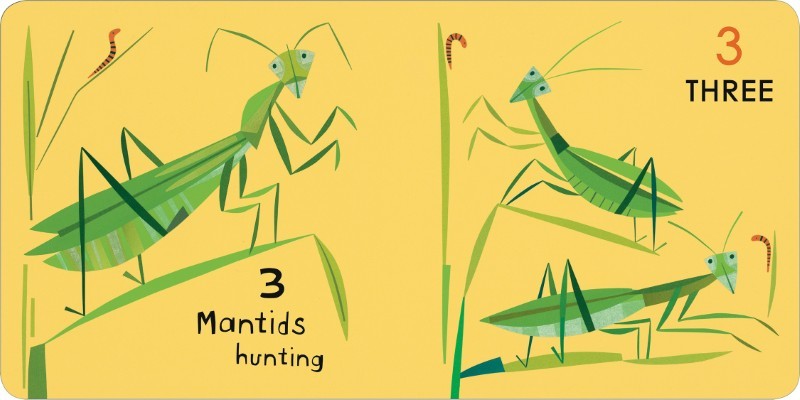 Canadian Animals 123 Board Book